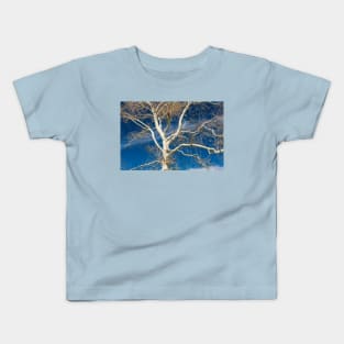 Branches and sky Kids T-Shirt